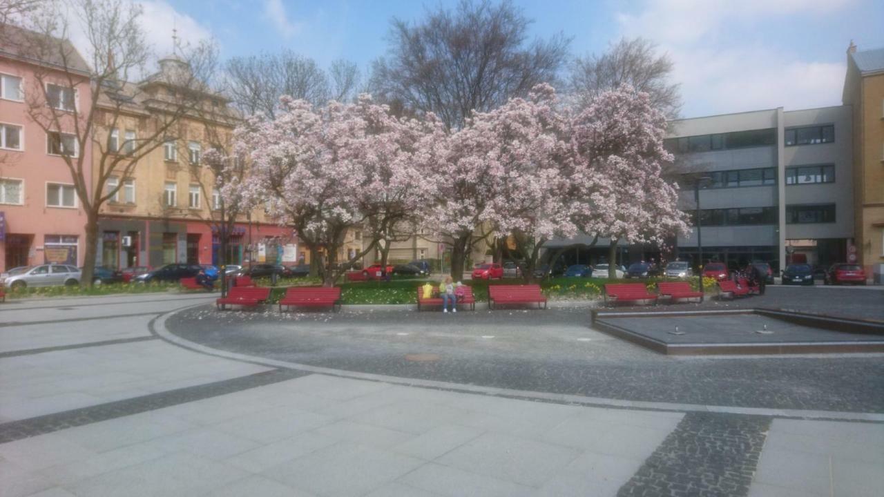 Apartment Belvedere Ostrava Buitenkant foto